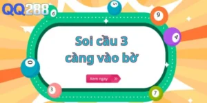 Soi cầu 3 càng 247