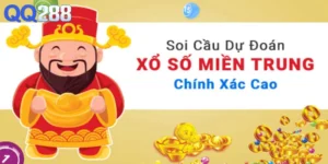 Soi cau mt