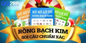 Soi cầu rồng bạch kim